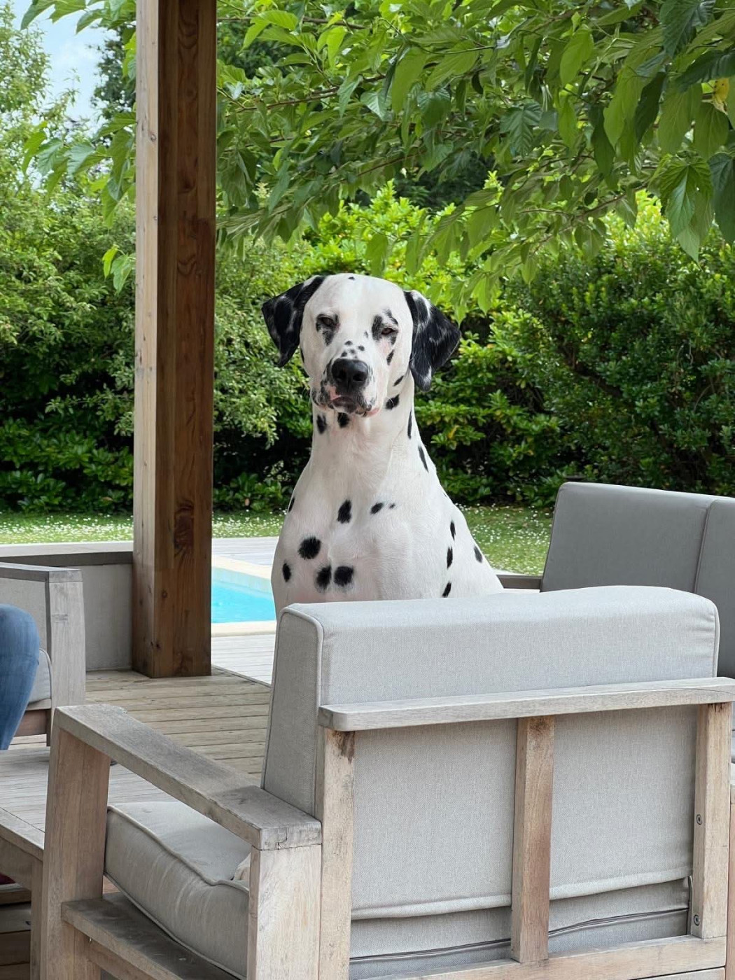 Twix Du Clos De Patch