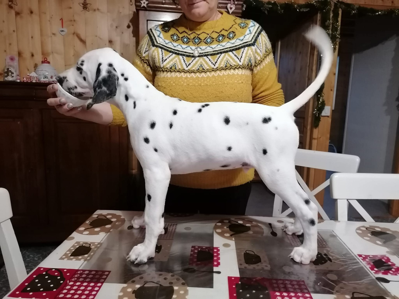 Twix Du Clos De Patch