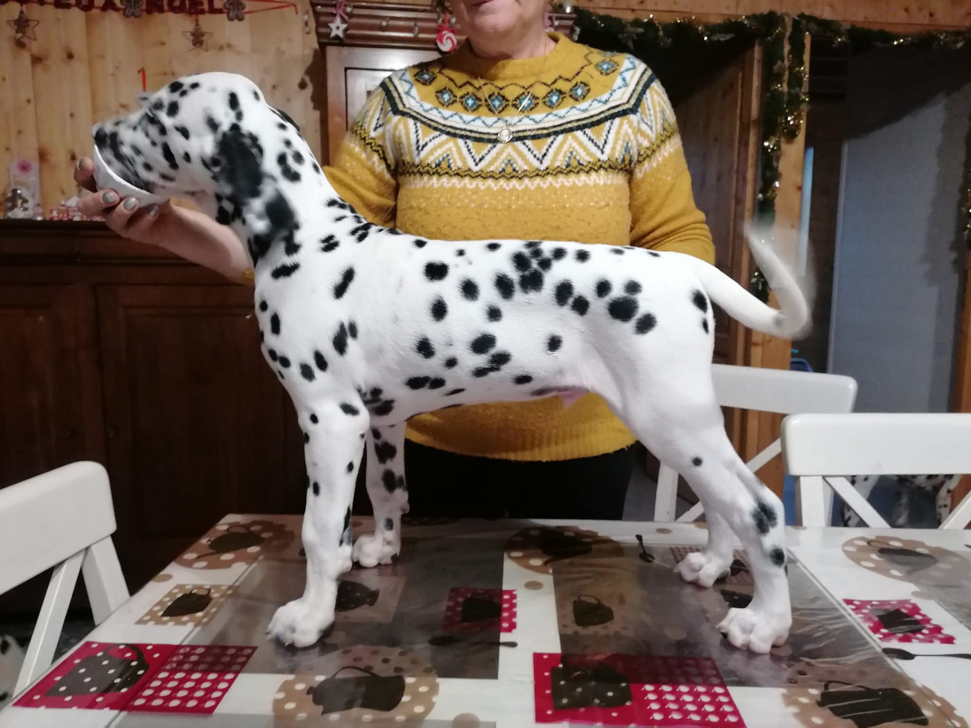 Thor Pinceau Du Clos De Patch