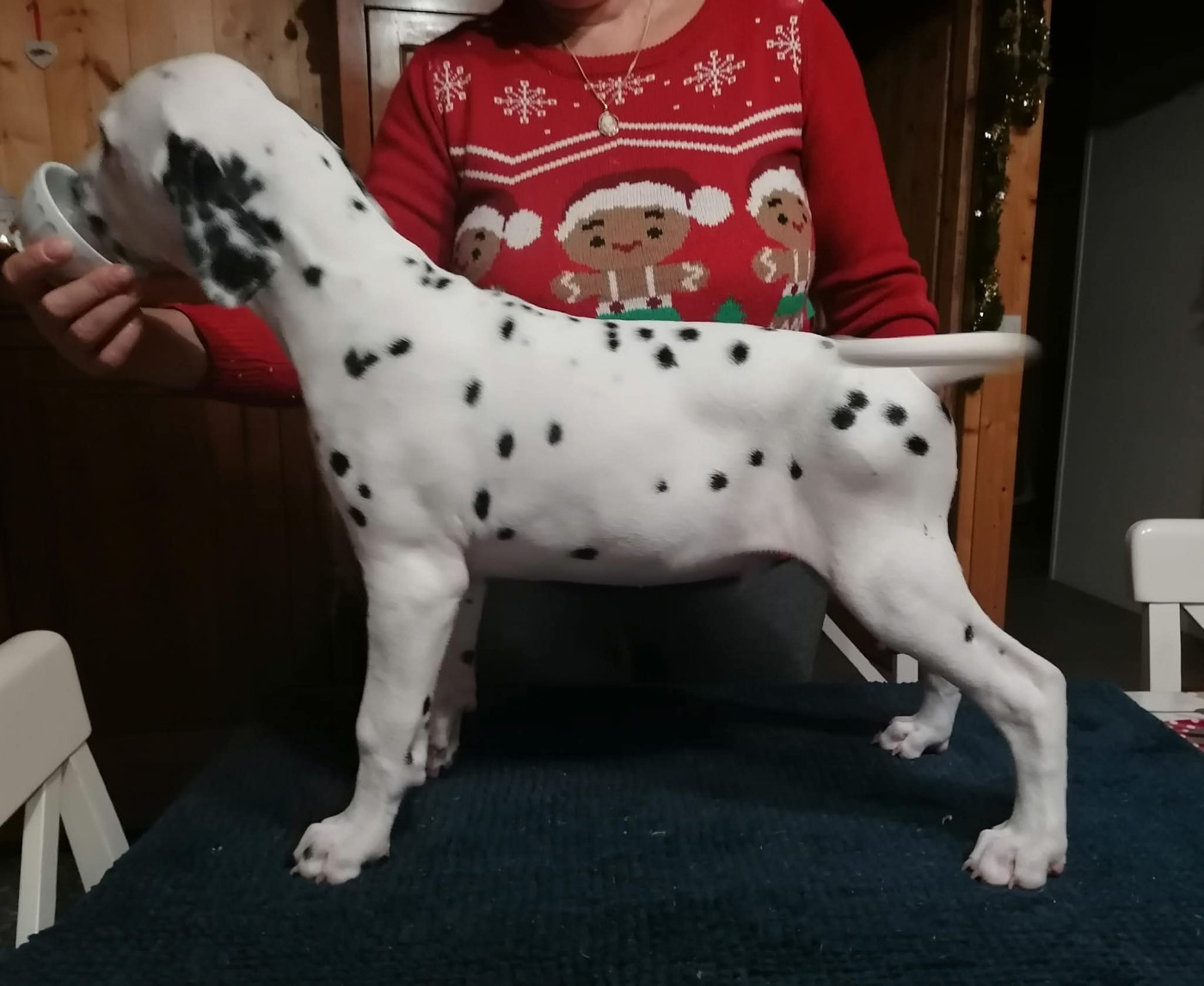 Taram Du Clos De Patch