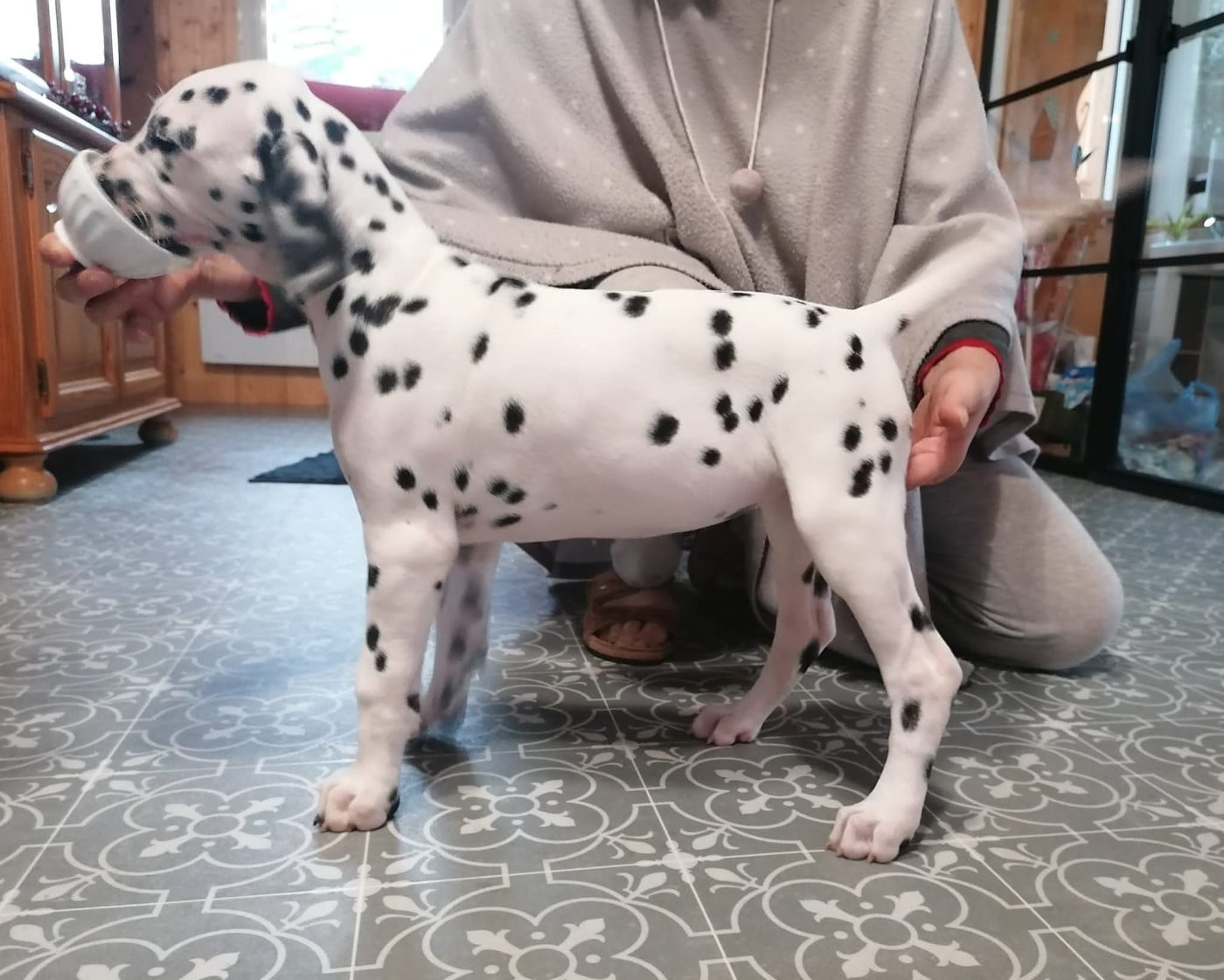 Tiana Du Clos De Patch