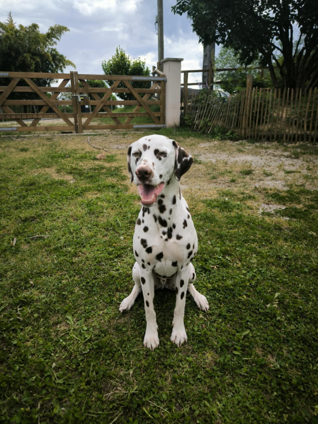 Uranus Du Clos De Patch