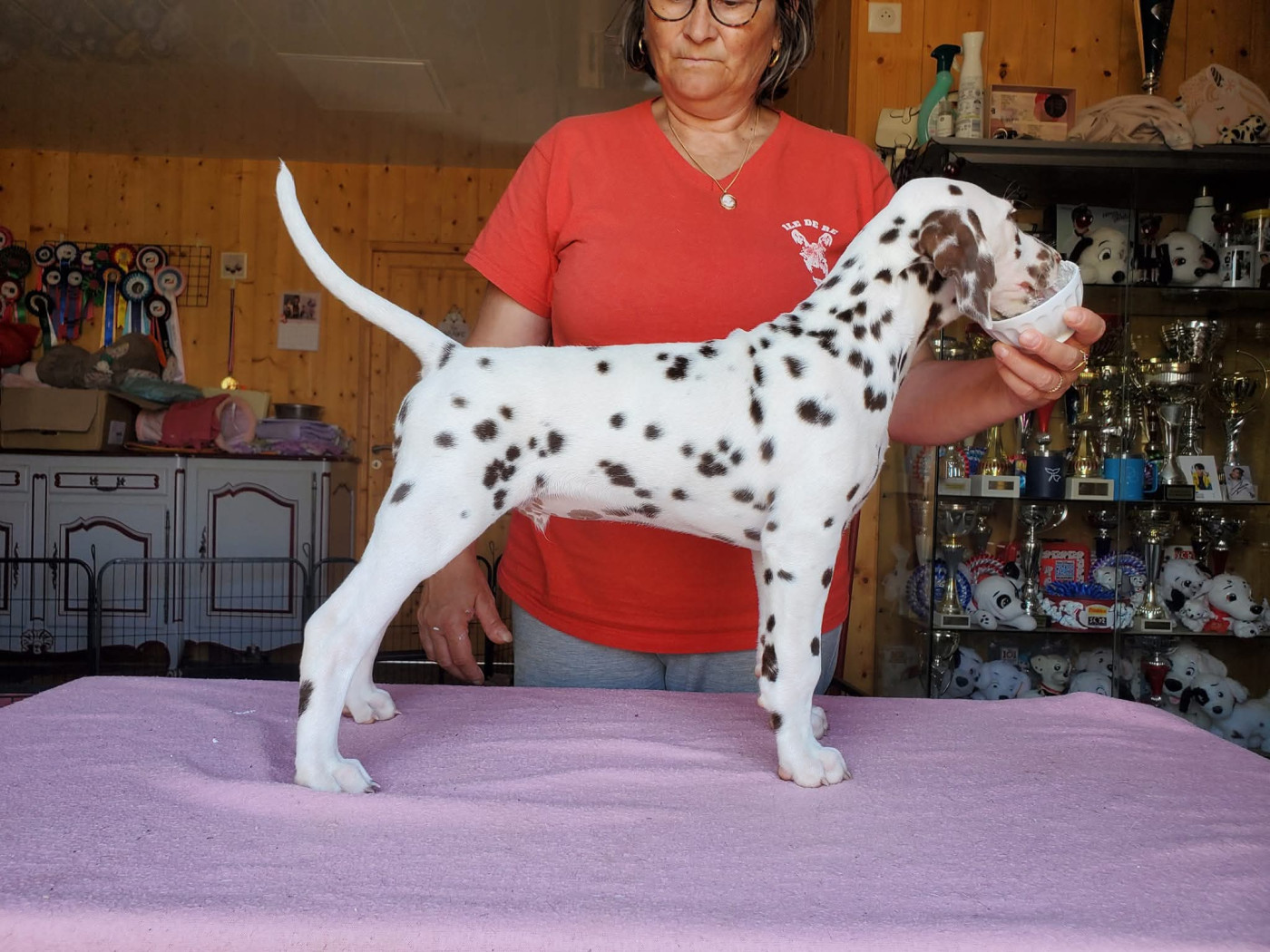 Uranus Du Clos De Patch