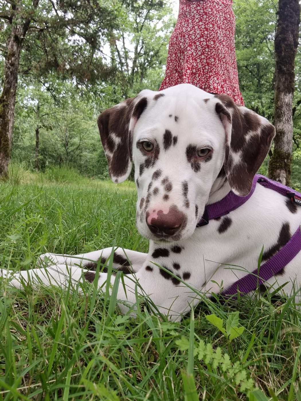 Uranus Du Clos De Patch