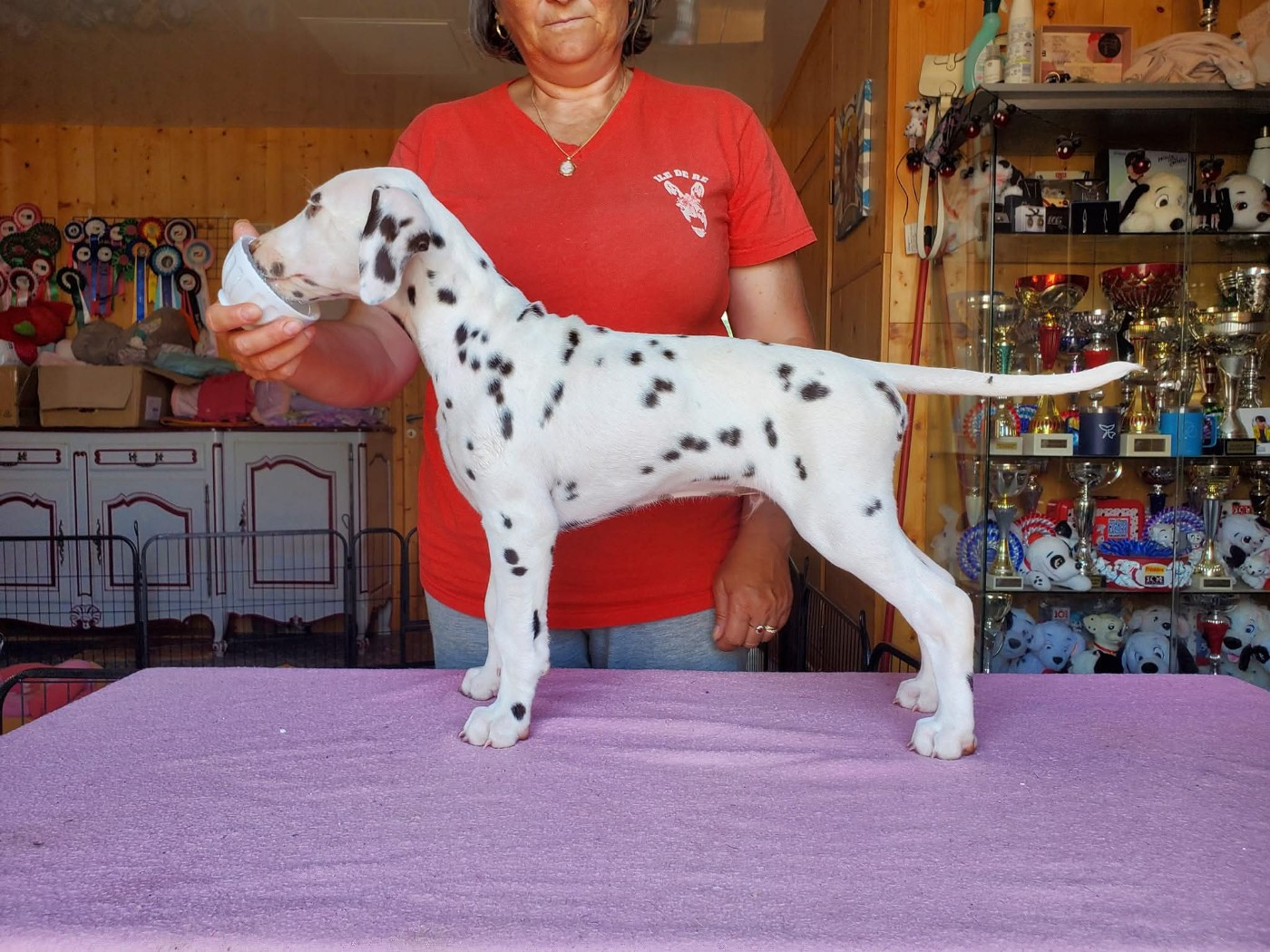 Ugo Boss dit Ungaro Du Clos De Patch