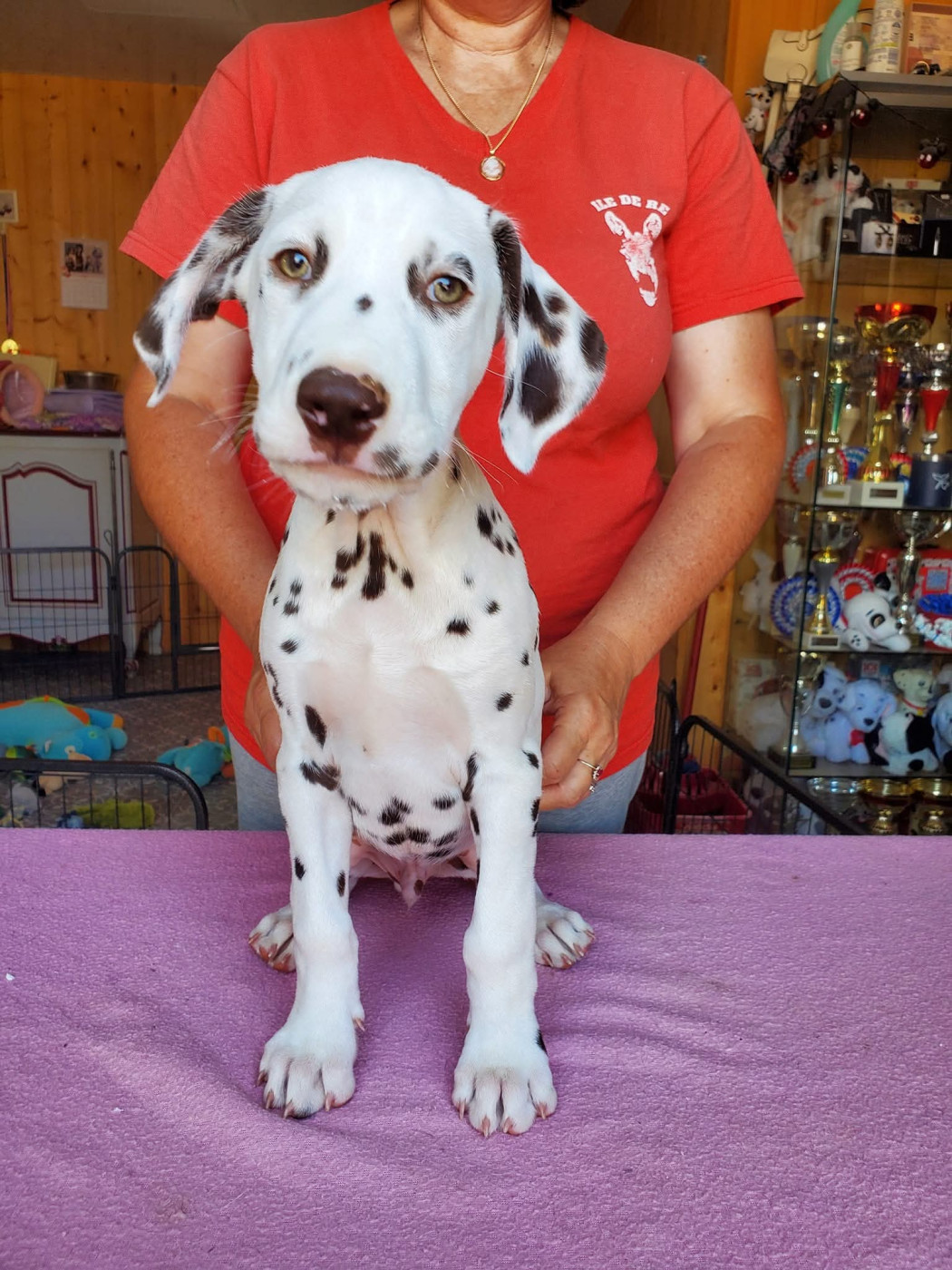 Ugo Boss dit Ungaro Du Clos De Patch