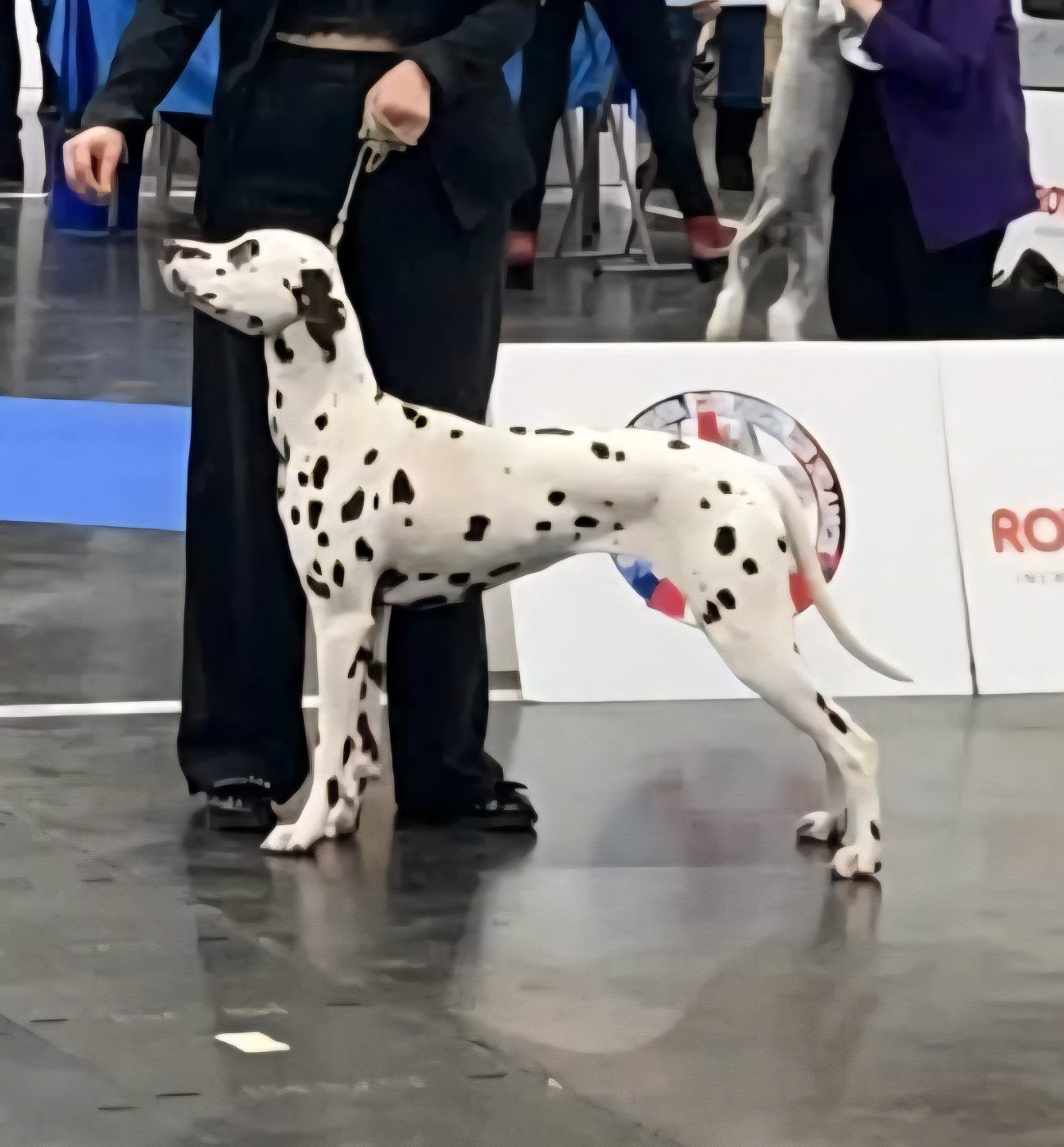 Utopia dit Umee Du Clos De Patch