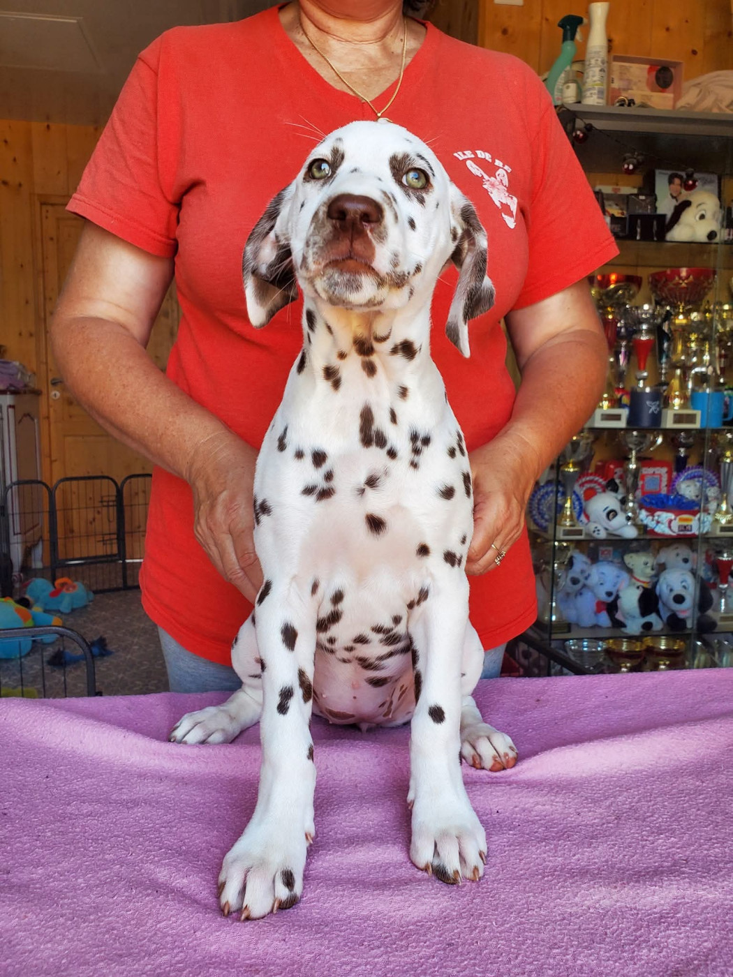 Utopia dit Umee Du Clos De Patch