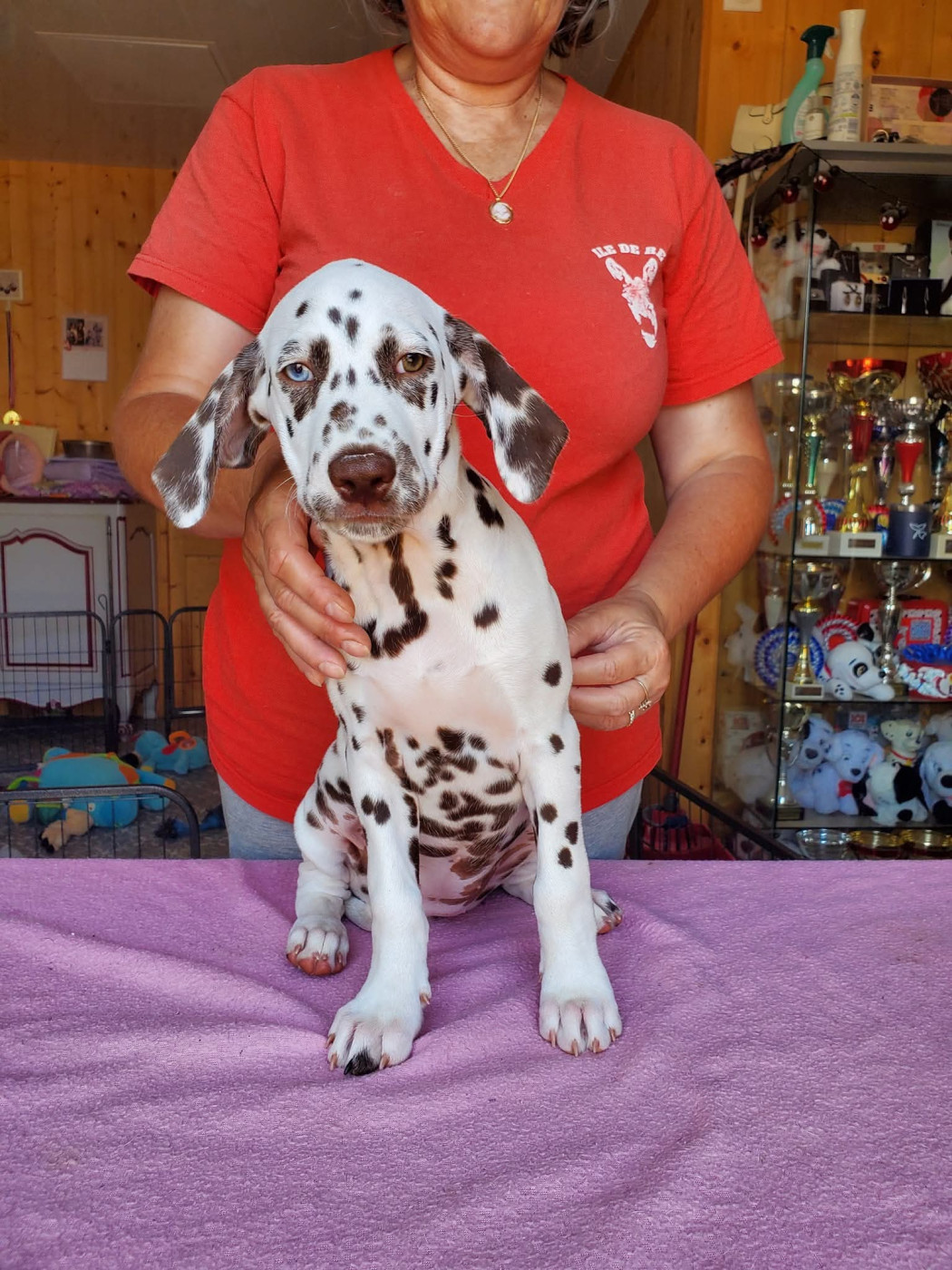 Uhana dit Dina Du Clos De Patch