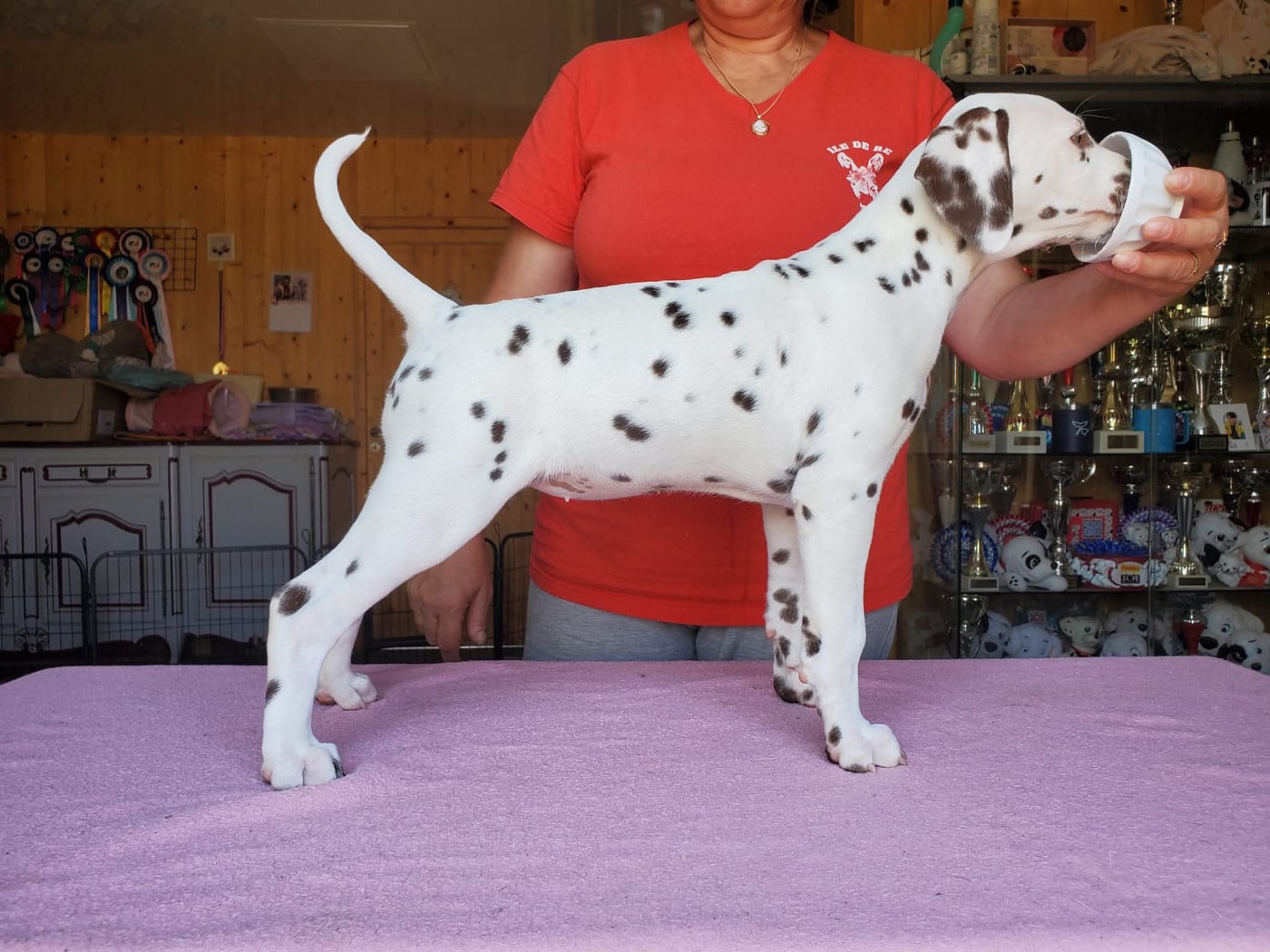 Unicorn dit Nina Du Clos De Patch