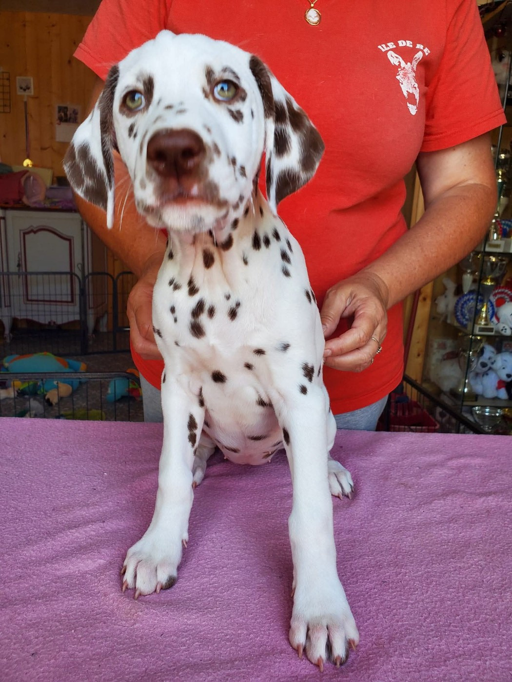 Unicorn dit Nina Du Clos De Patch