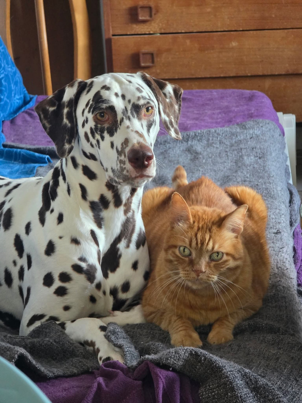 Until We Meet Again dit Miracle Du Clos De Patch