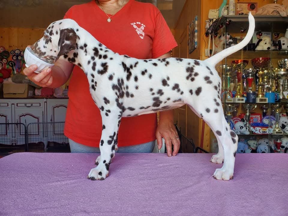 Until We Meet Again dit Miracle Du Clos De Patch