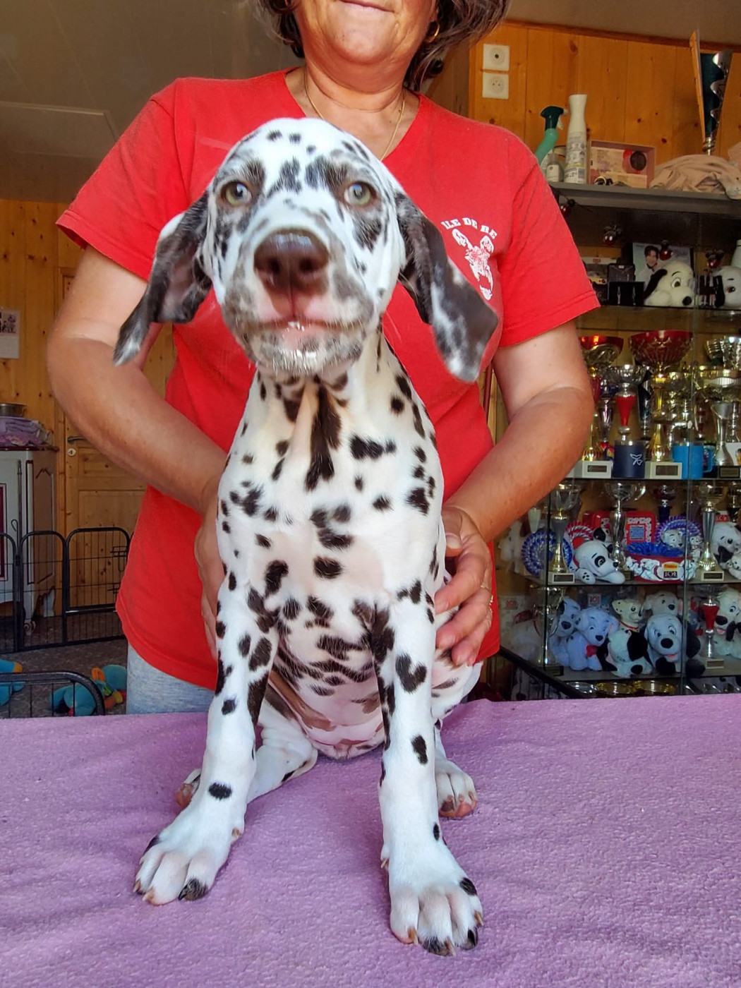 Until We Meet Again dit Miracle Du Clos De Patch