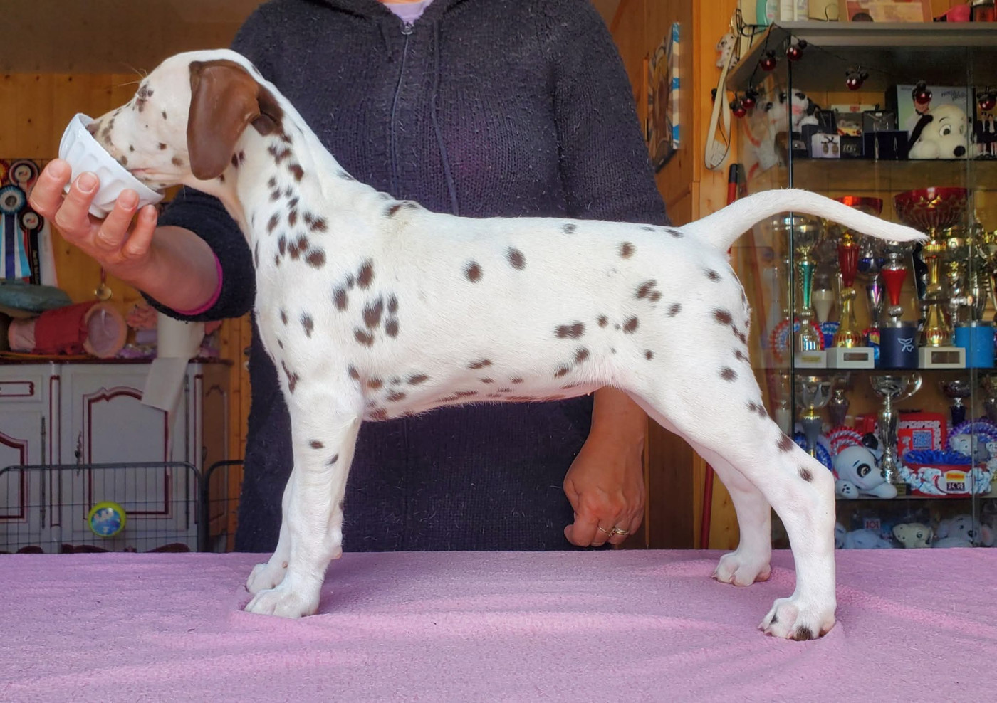 Unique In The World dit Um Du Clos De Patch