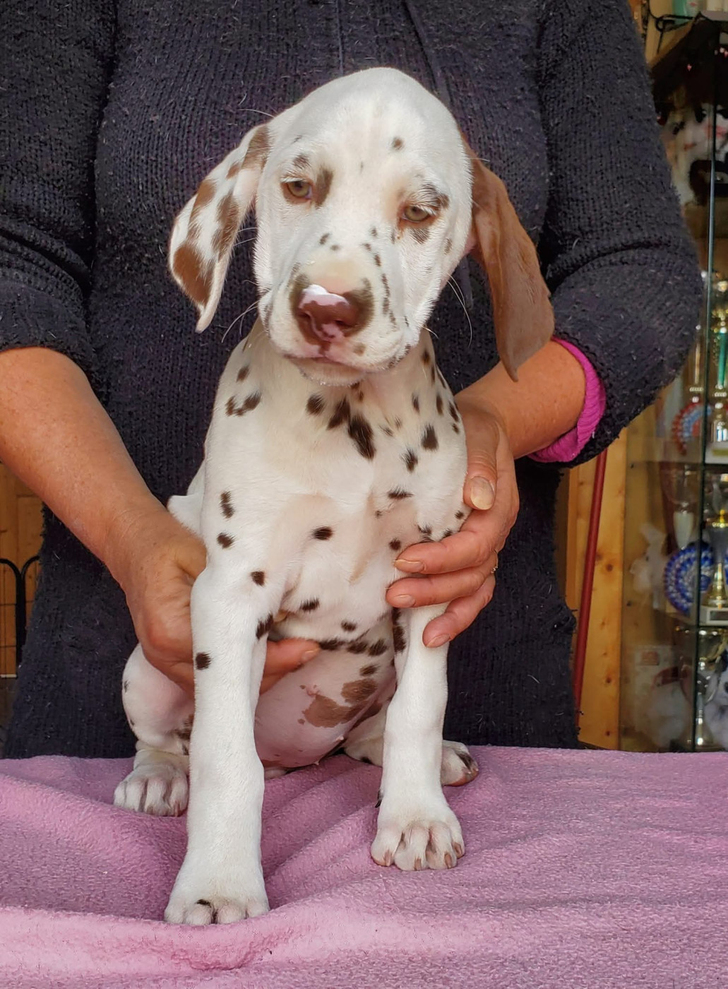 Unique In The World dit Um Du Clos De Patch