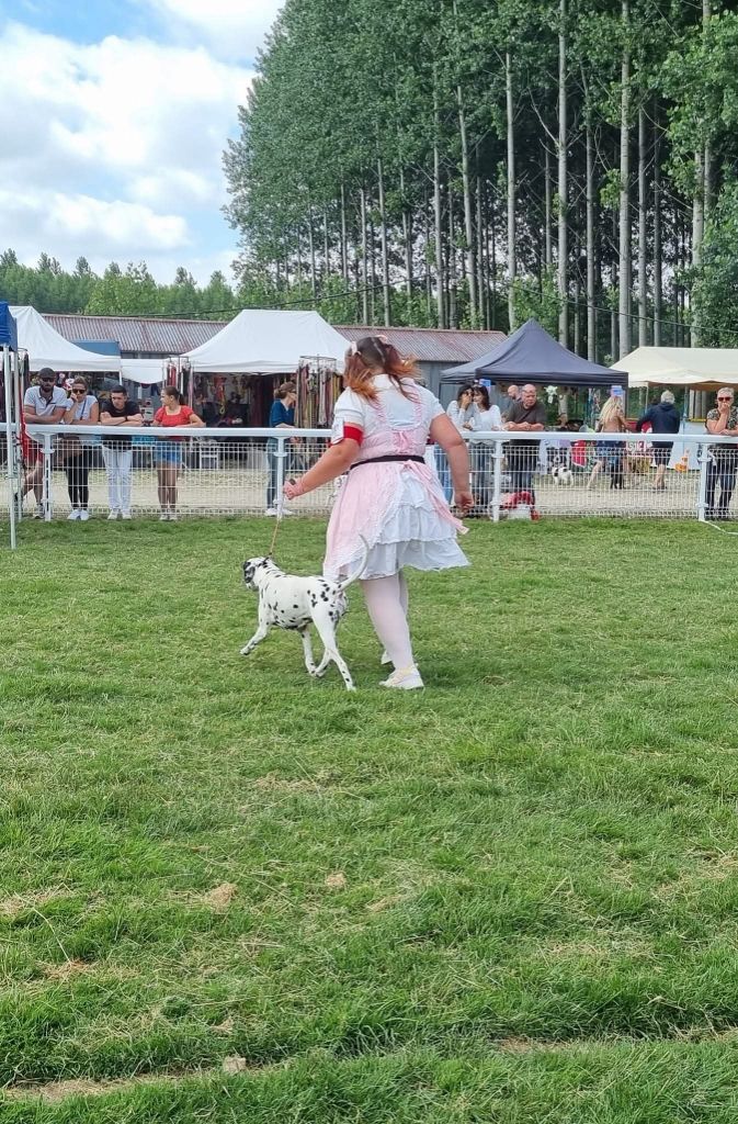 Jelly bean De La Voûte Céleste - Classe Vétéran: 1ere Excellent CACS-Veteran Meilleur Vétéran