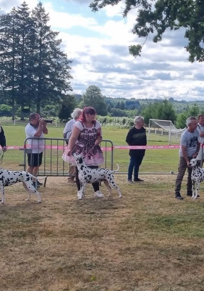 Never give up Du Clos De Patch - Classe Ouverte: Excellent Non Classée