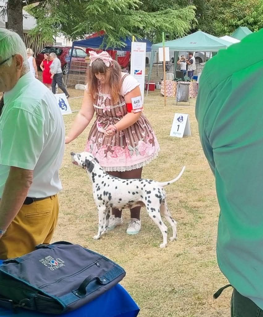 Never give up Du Clos De Patch - Classe Ouverte: 2eme Excellent