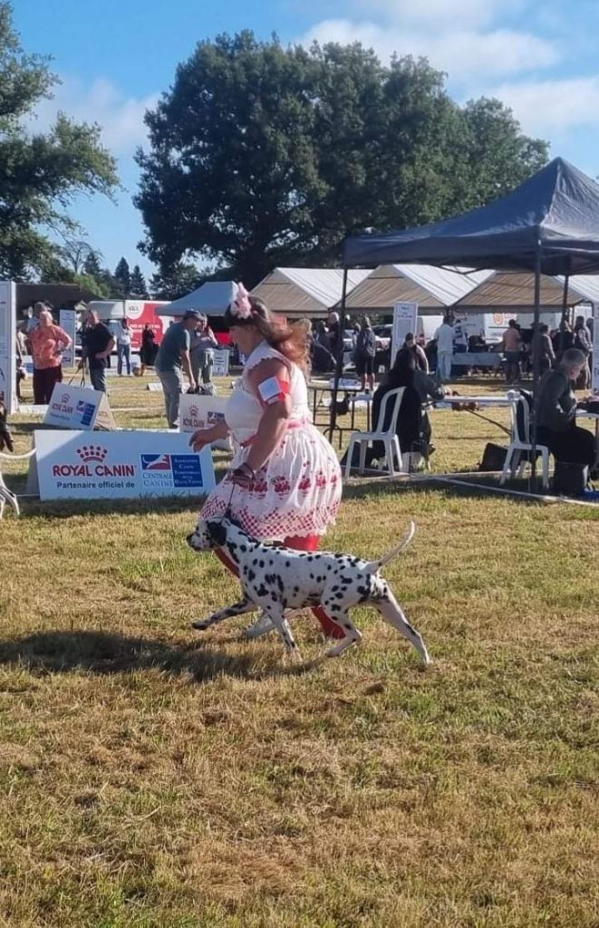 Never give up Du Clos De Patch - Classe Ouverte: 2eme Excellent RCACS