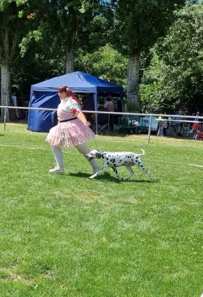 Never give up Du Clos De Patch - Classe Ouverte: 2eme Excellent RCACS