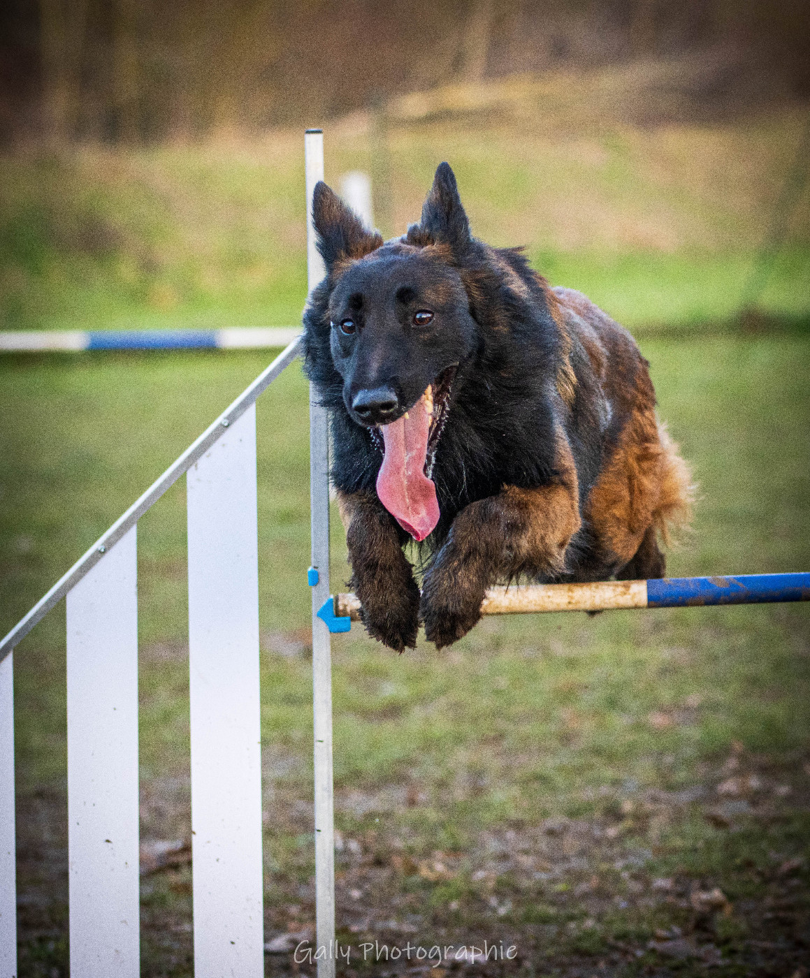 Playboy Des Abîmes Ardents