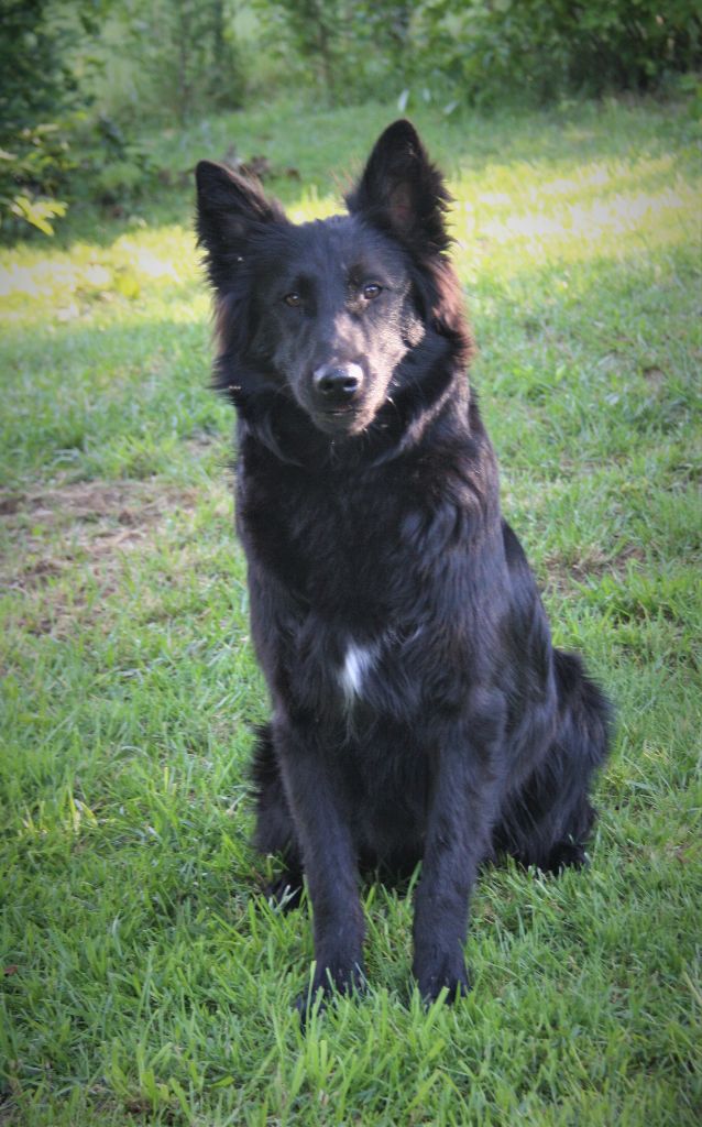 Pafacyl Des Abîmes Ardents