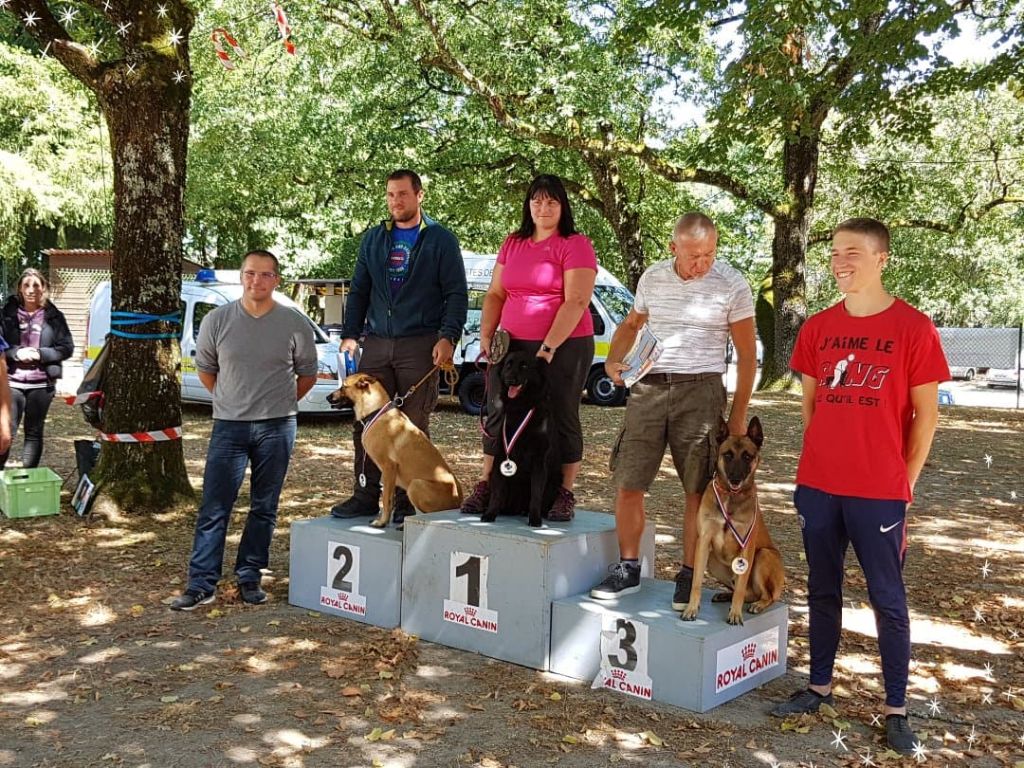 Livy de la Vallée des Suessiones - 1ère place -Nationale Elevage - Wasels