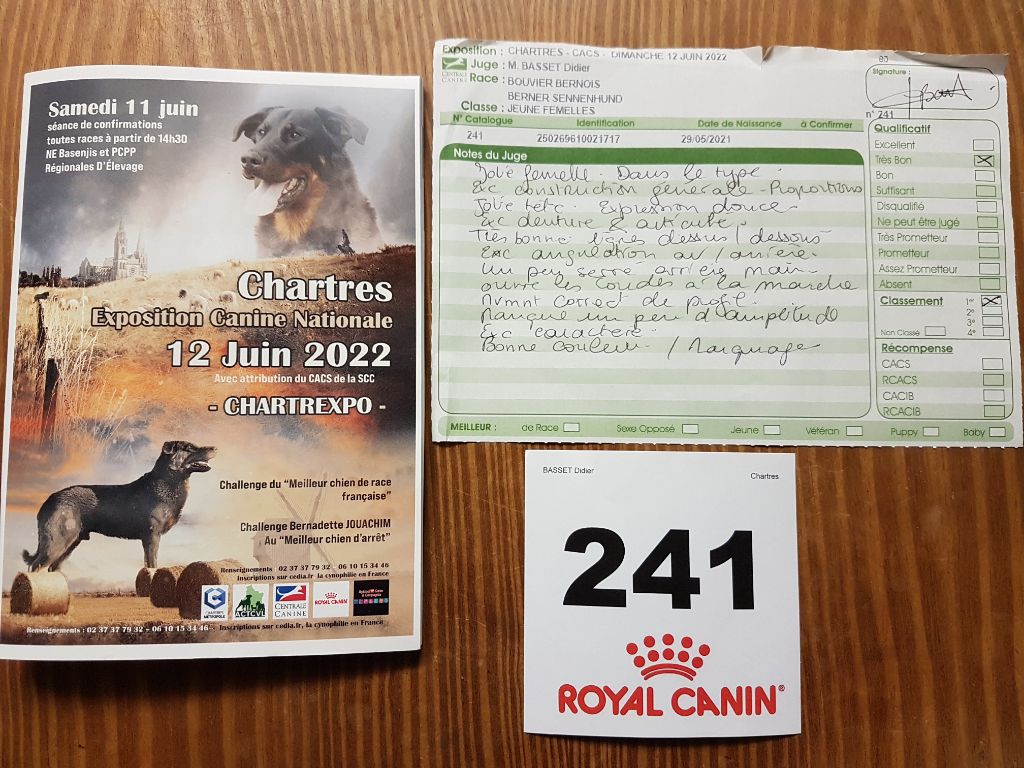 S'cale à cancale De La Cathedrale Des Ours - 1er TRES BON