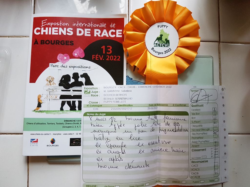 S'cale à cancale De La Cathedrale Des Ours - très prometteur