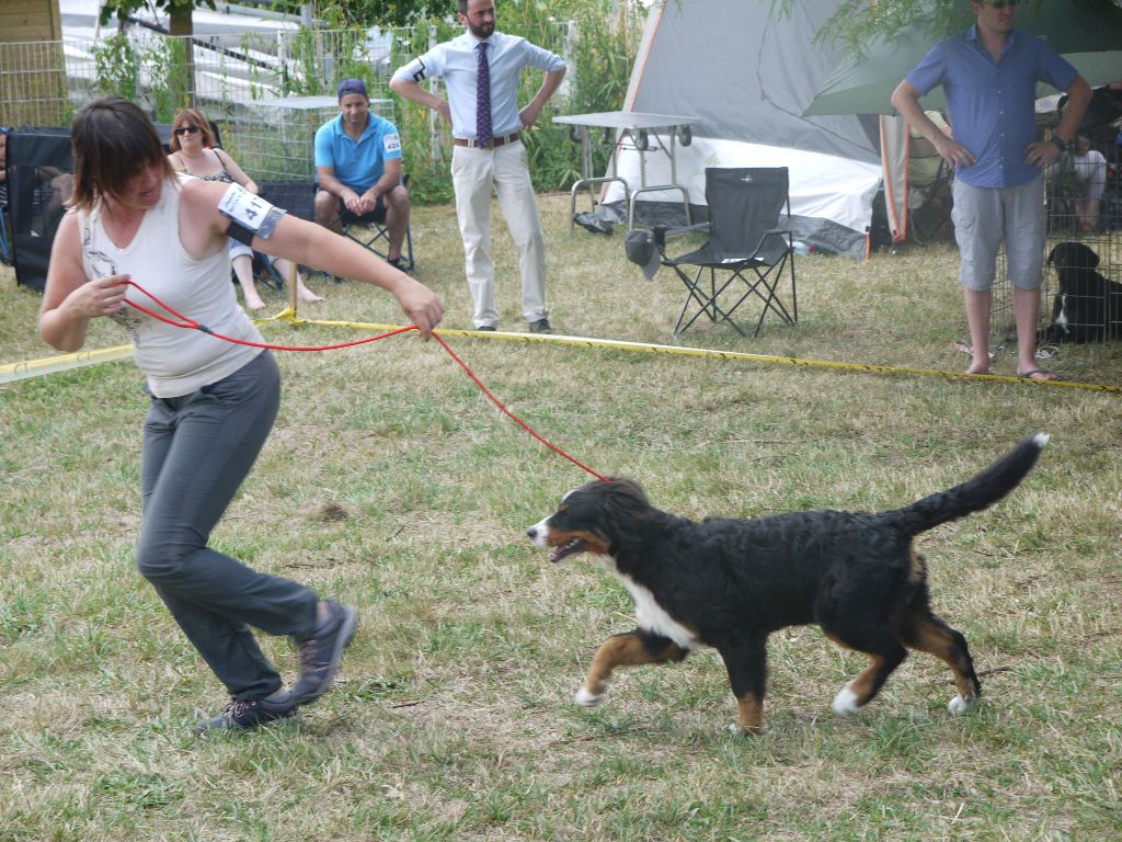 Ouessane De La Cathedrale Des Ours - TRES PROMETTEUR