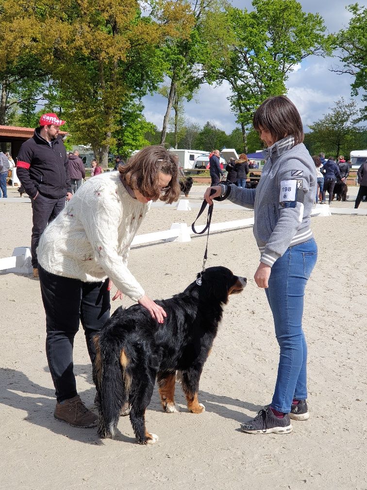Ouessane De La Cathedrale Des Ours - TRES BON