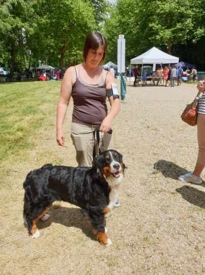 Ouessane De La Cathedrale Des Ours - EXCELLENT / MEILLEUR JEUNE