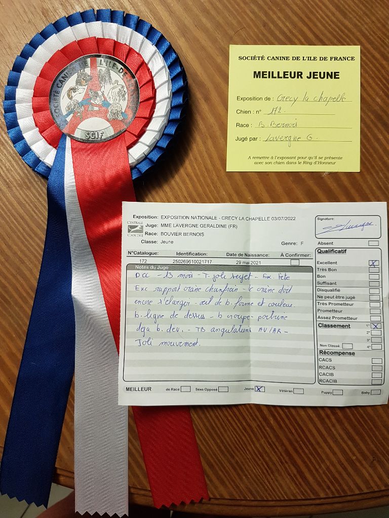 S'cale à cancale De La Cathedrale Des Ours - MEILLEUR JEUNE