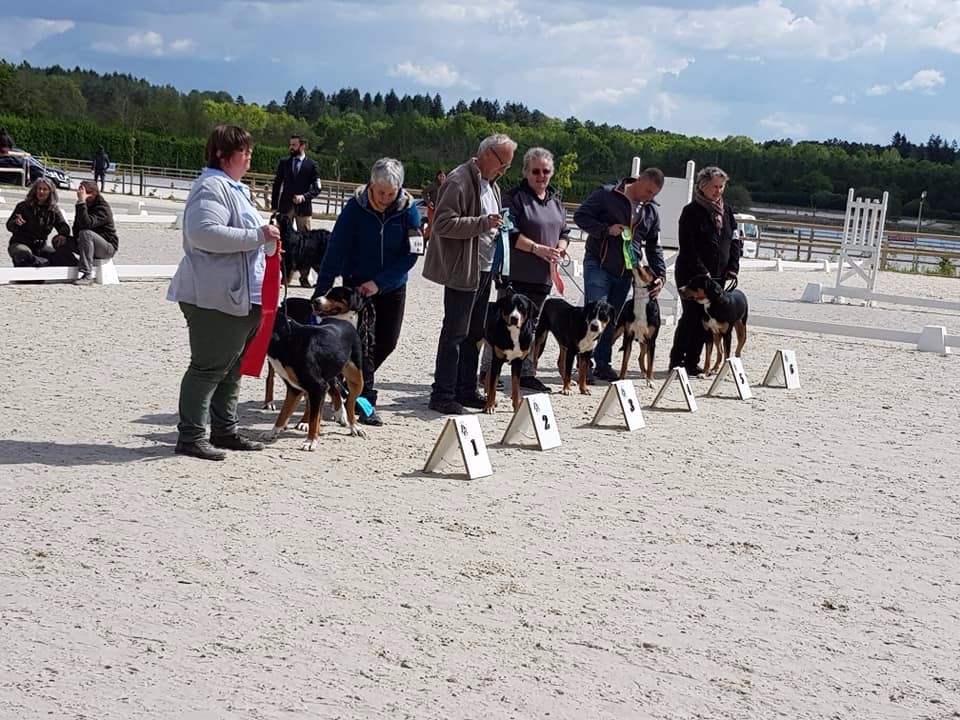 Calamity jane our champions - 5ème Excellent classe intermédiaire