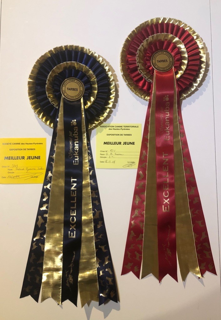 Calamity jane our champions - 1ère Excellent - Meilleur Jeune