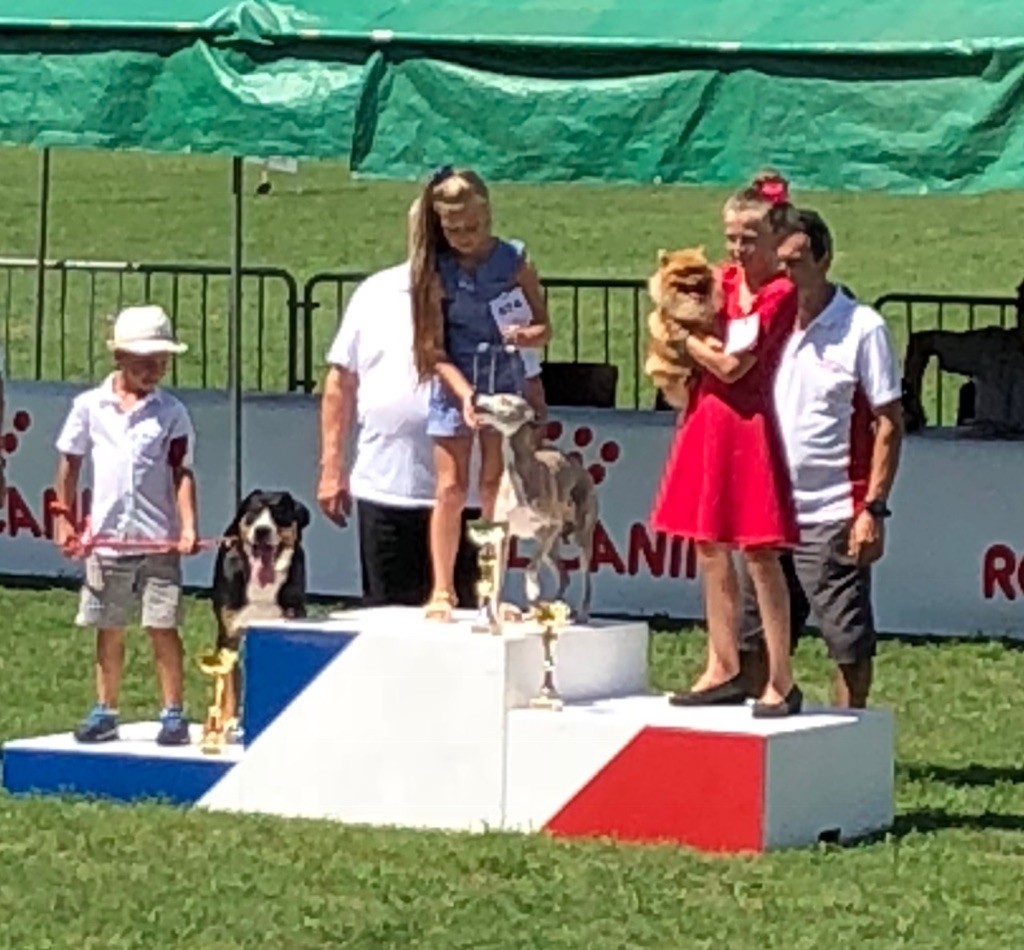 Calamity jane our champions - 2ème Très bon