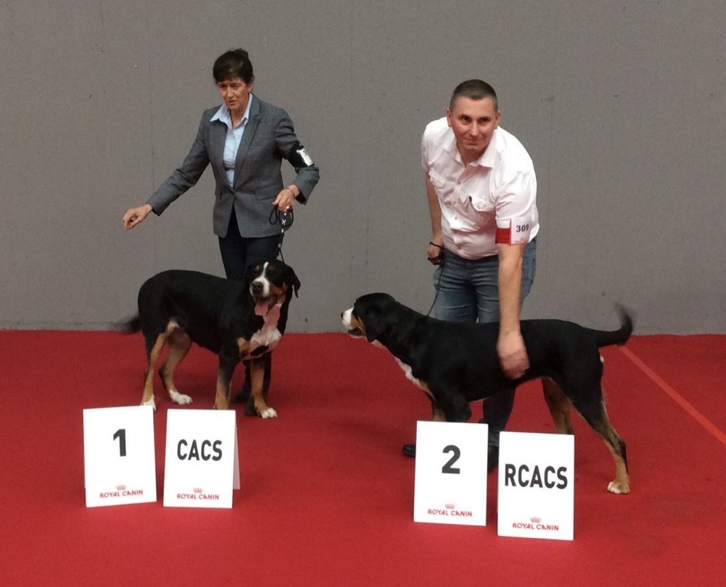 Number one Du Soleil d'Occitanie - 1er Excellent - RCACS