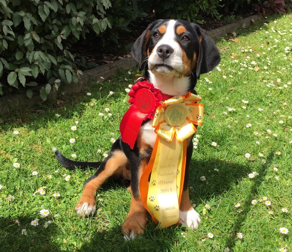 Lana Des joyeuses gambades - 1er Très prometteur - Meilleur Baby