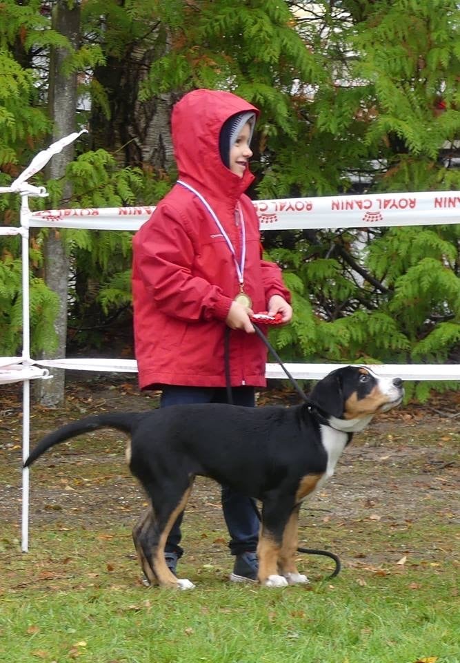 Number one Du Soleil d'Occitanie - 1er Très Prometteur et Meilleur Baby Femelle