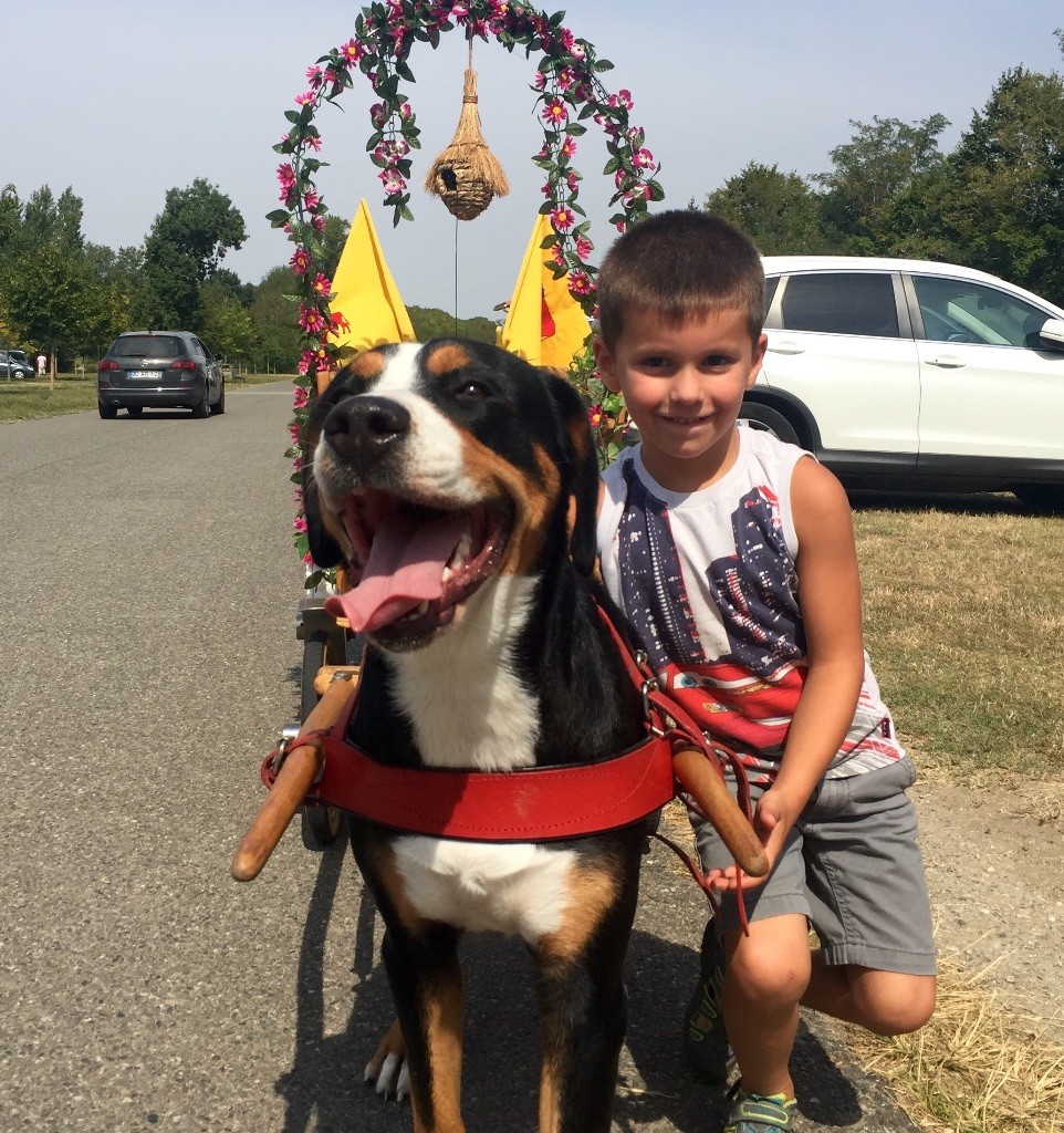 Lana Des joyeuses gambades - 3ème Excellent