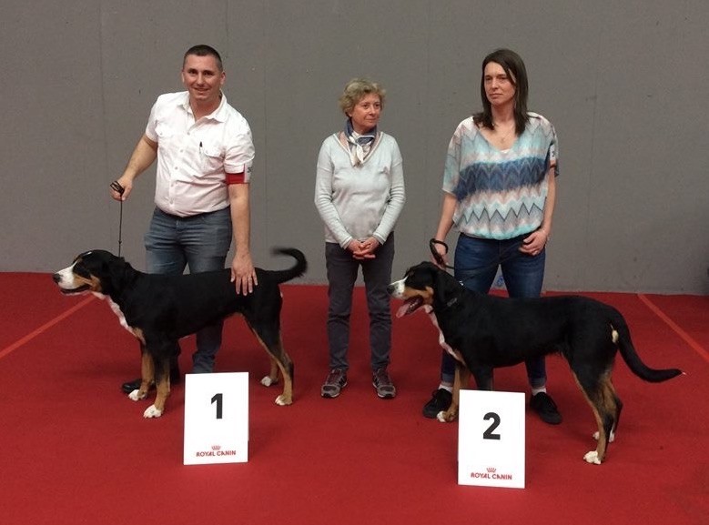 Calamity jane our champions - 2ème Excellent