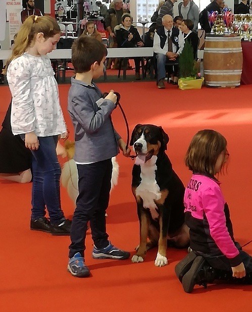 Calamity jane our champions - Très bon