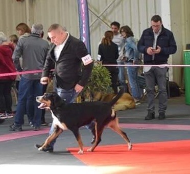 Calamity jane our champions - 1ère Excellent - Meilleur Jeune