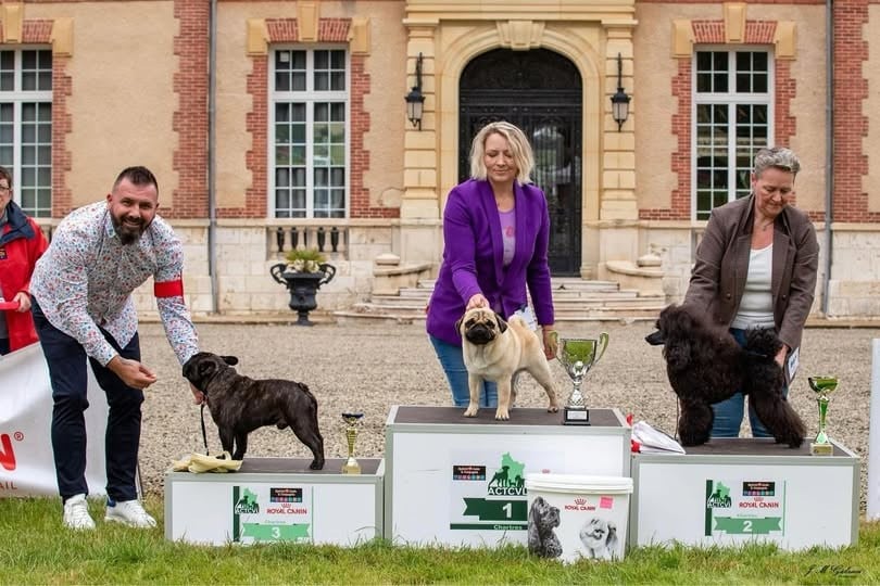 CH. Souvenir de luton Du Manoir Mondain