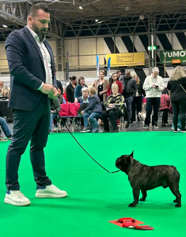 CH. Souvenir de luton Du Manoir Mondain