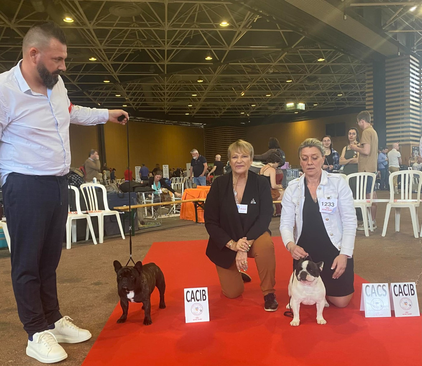 CH. Souvenir de luton Du Manoir Mondain