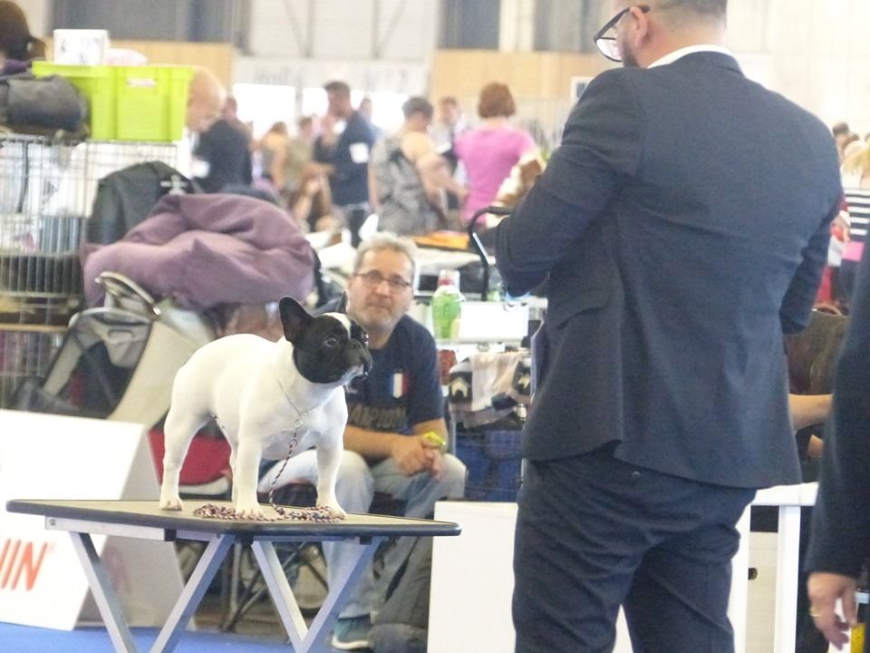 Uriela de el mencey loco - 2EXC CLASSE JEUNE