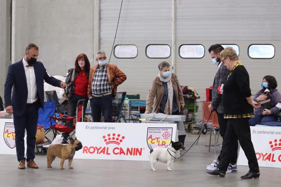 Uriela de el mencey loco - 1EXC +CACS+BOS