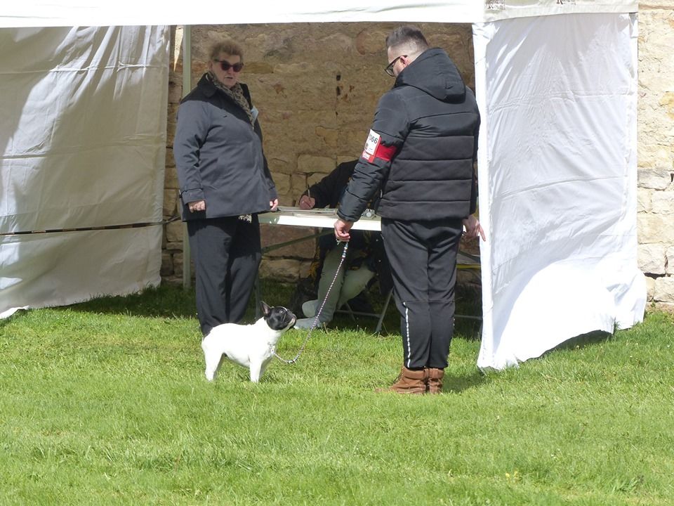 Uriela de el mencey loco - 1EXC + CLASSE JEUNE +BOJ+BOB